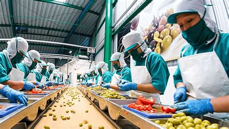 Food Processing Industry 